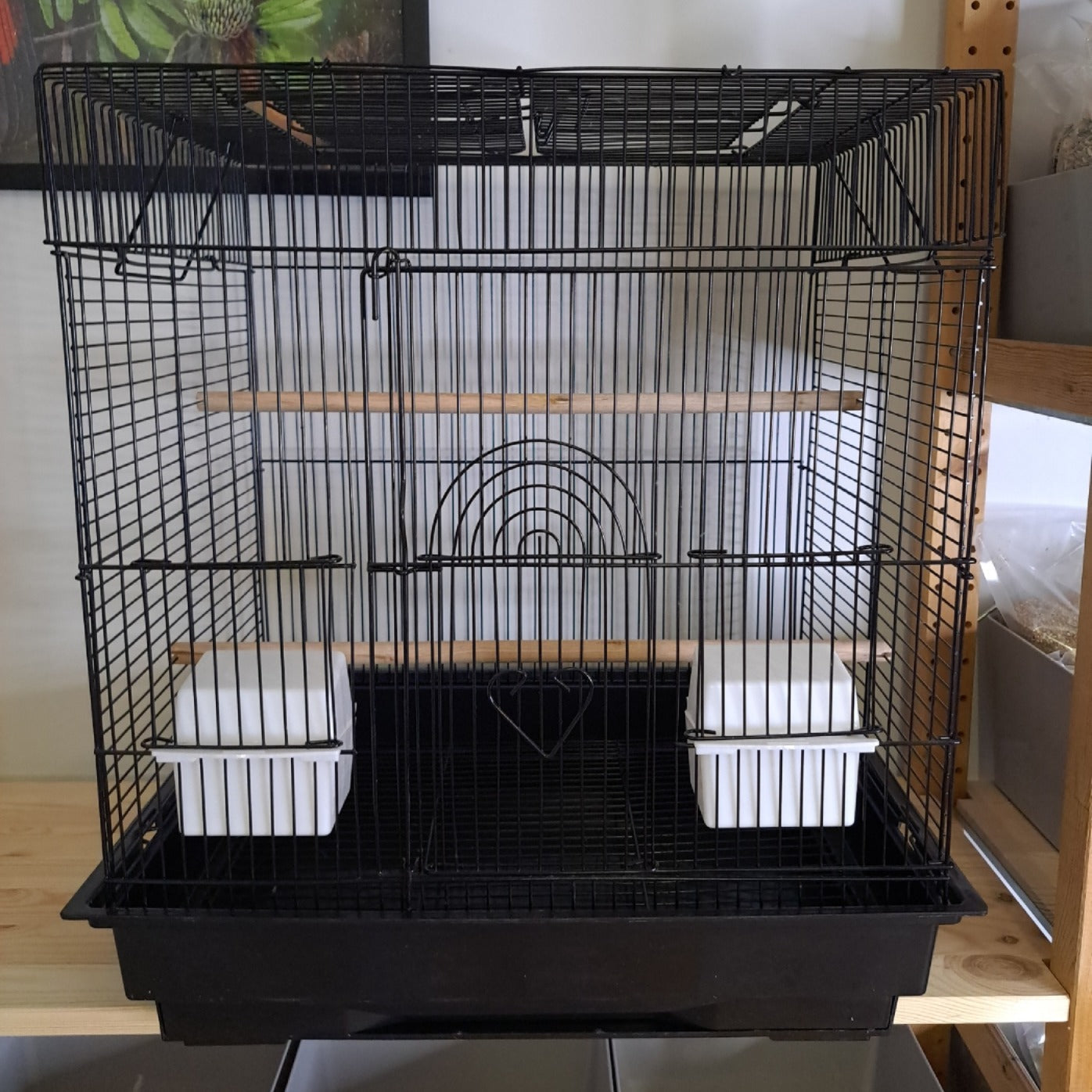 Cages & Stands