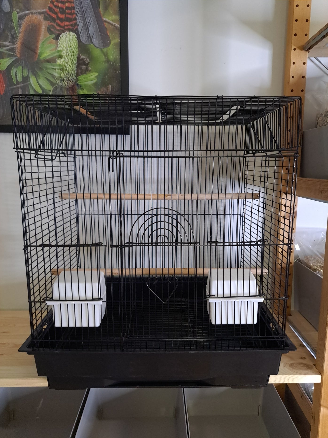 Open top bird cage