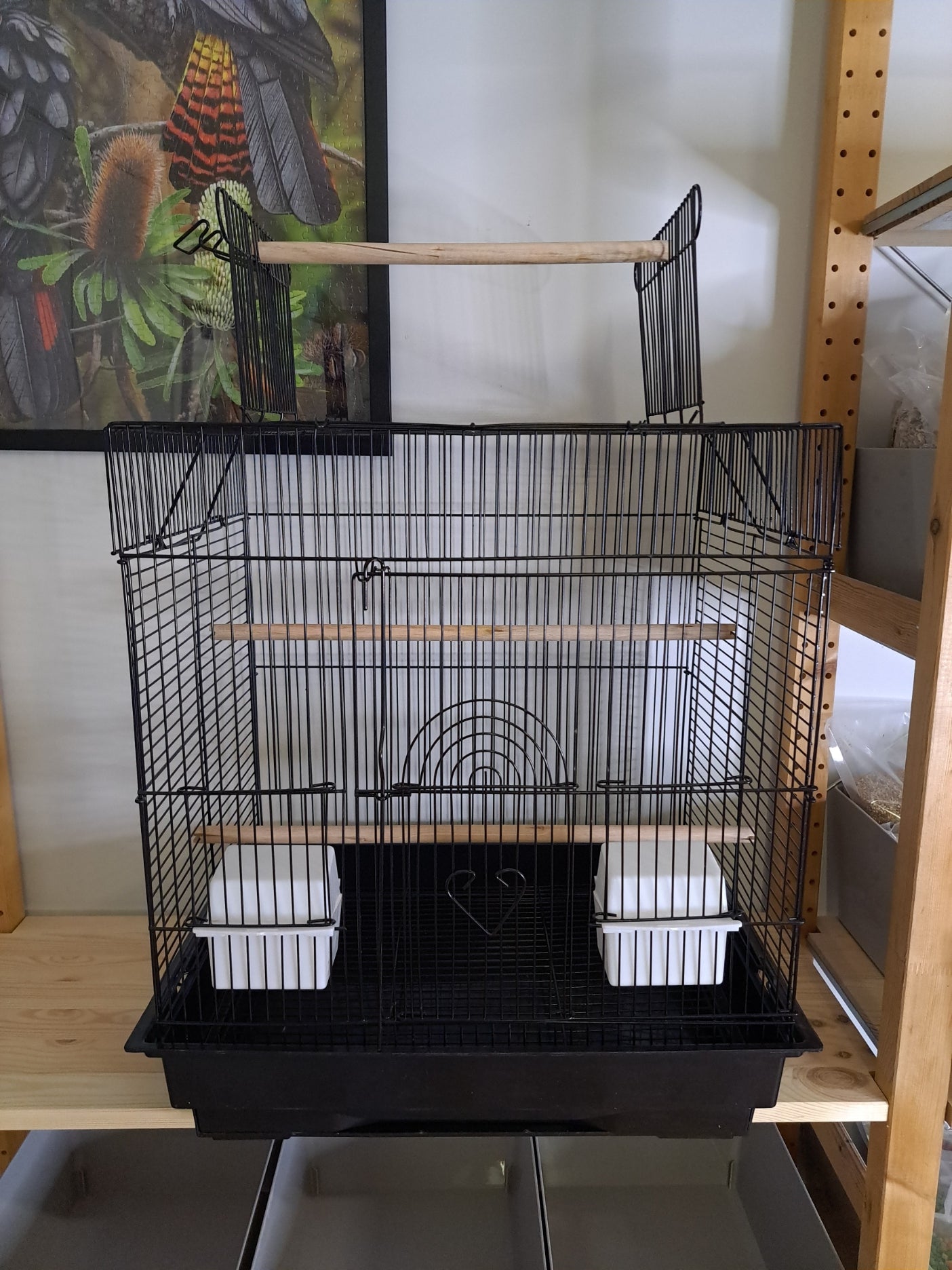 Open top bird cage