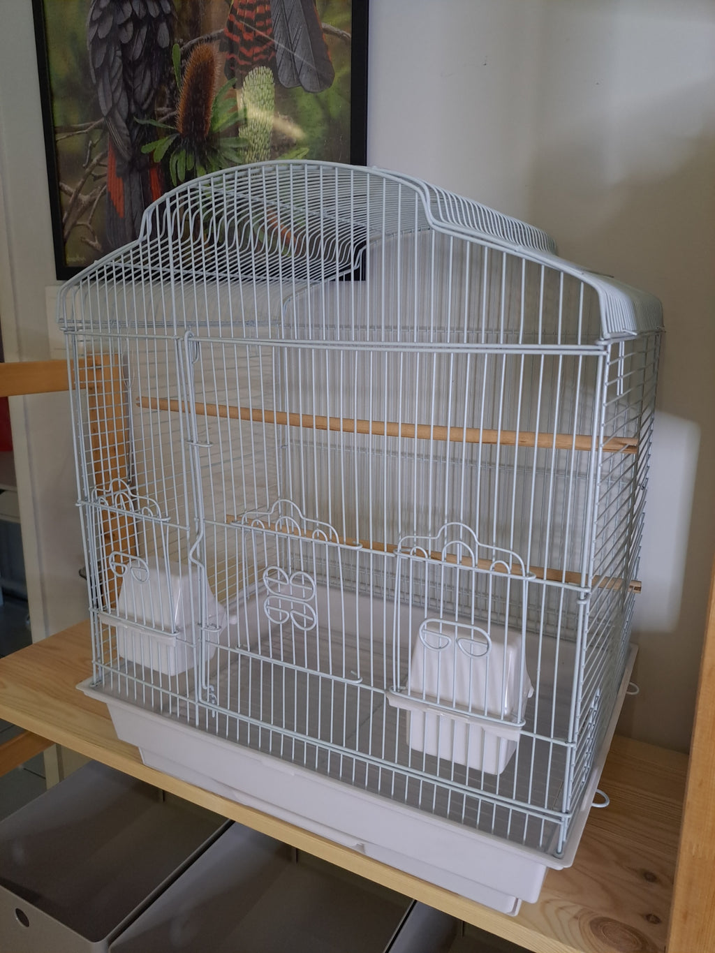 Small bird cage