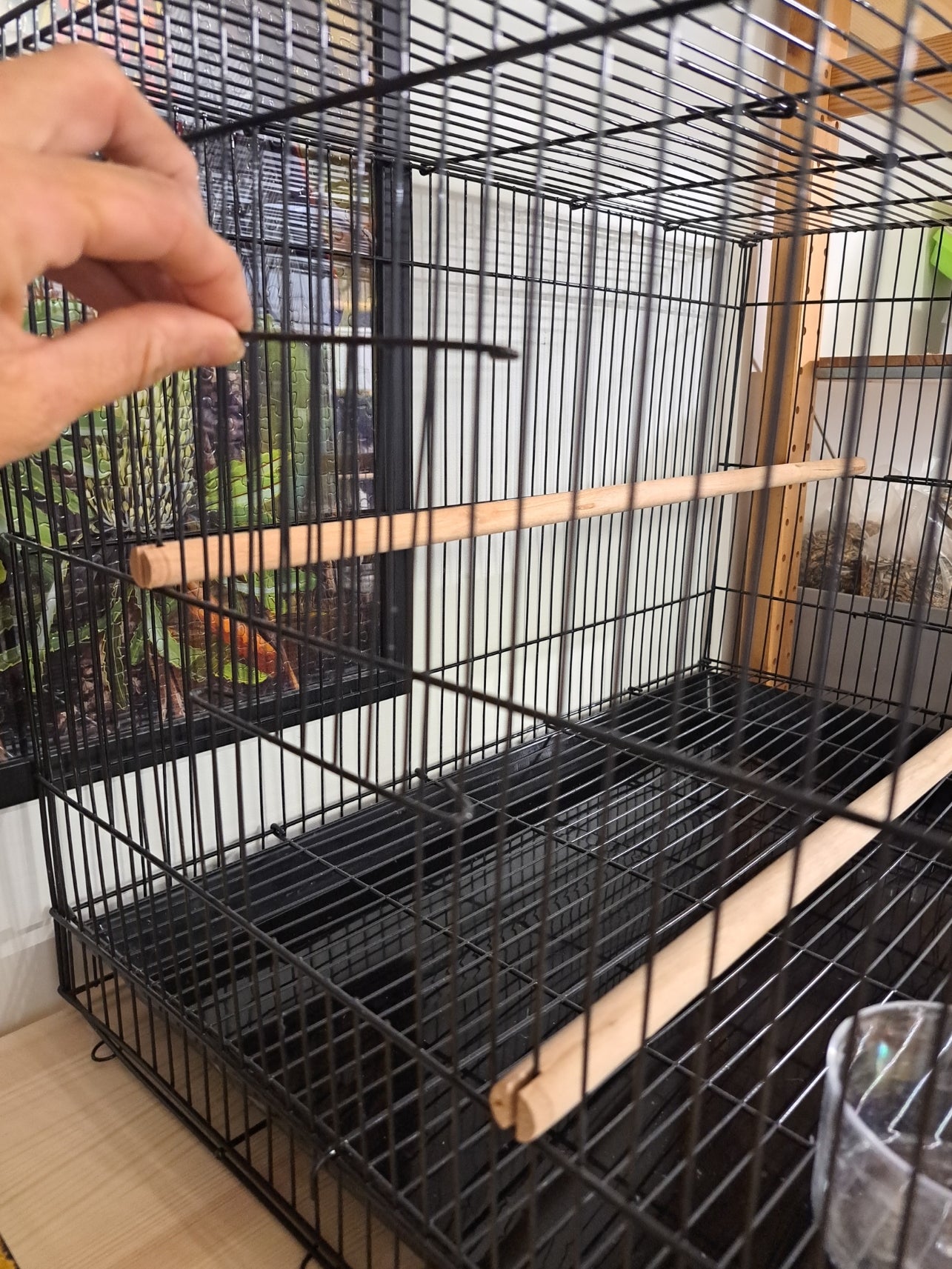 60cm Flight Cage Black
