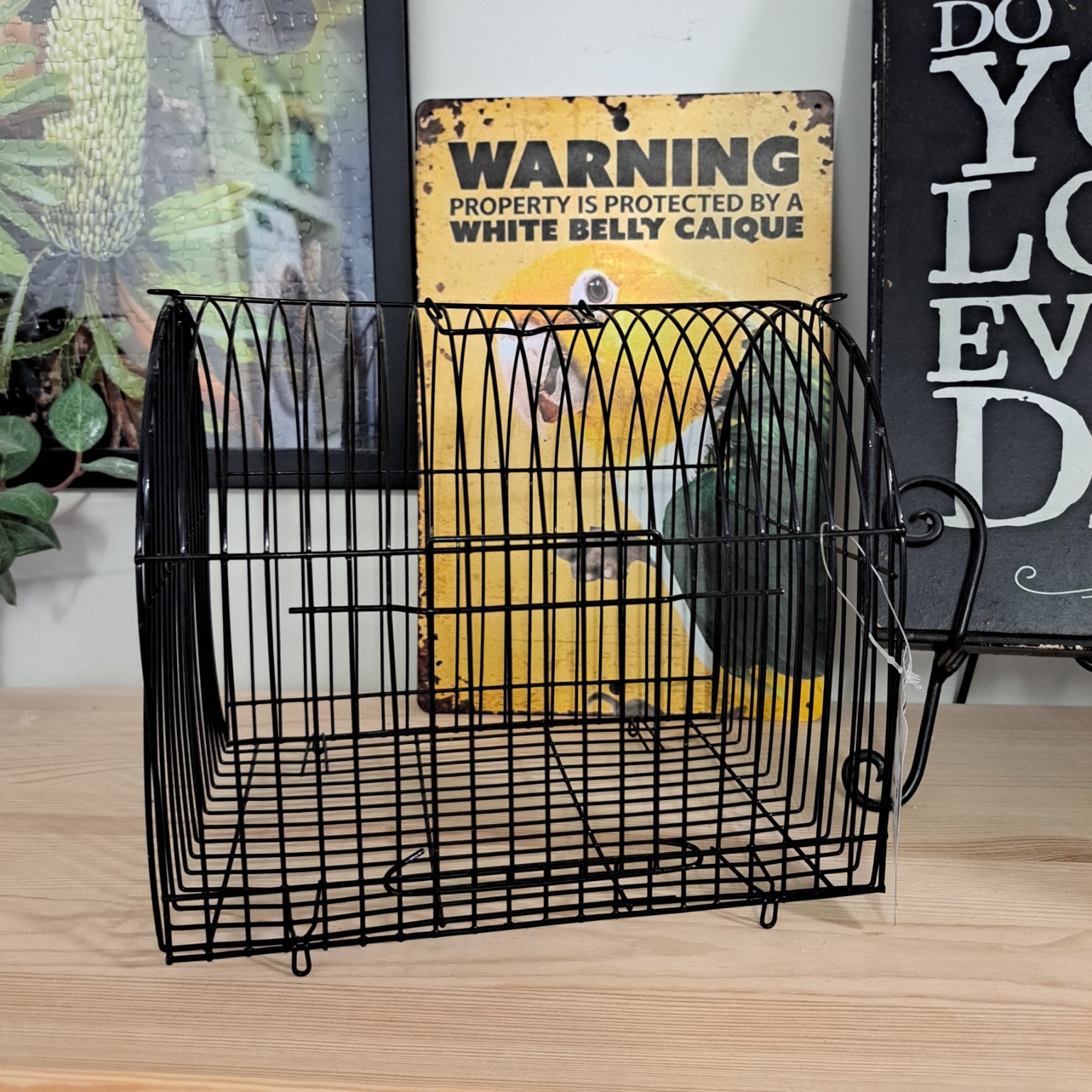 Small bird transport Cage
