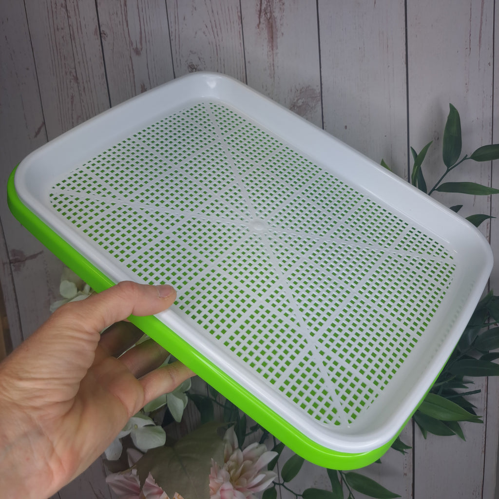 Seed sprouting tray Large