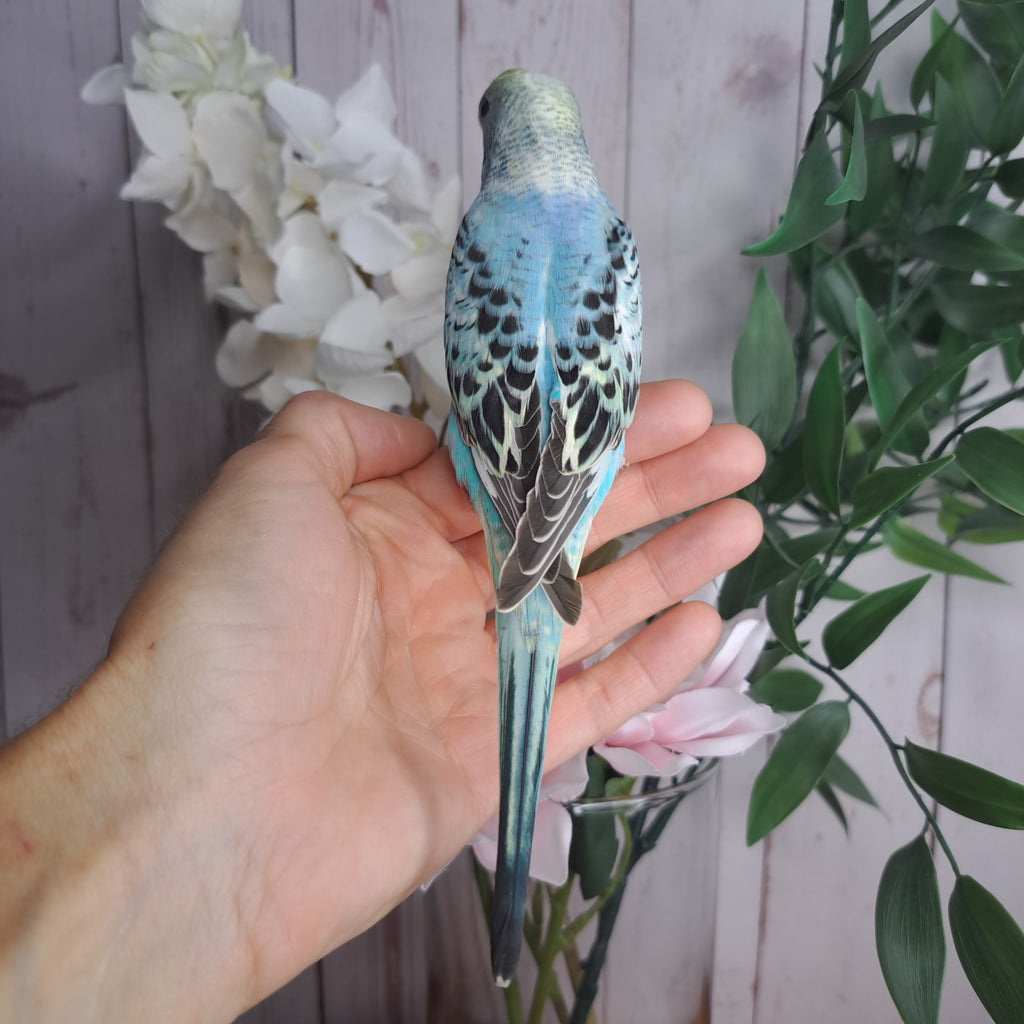 Budgie- Ring ID: N0290