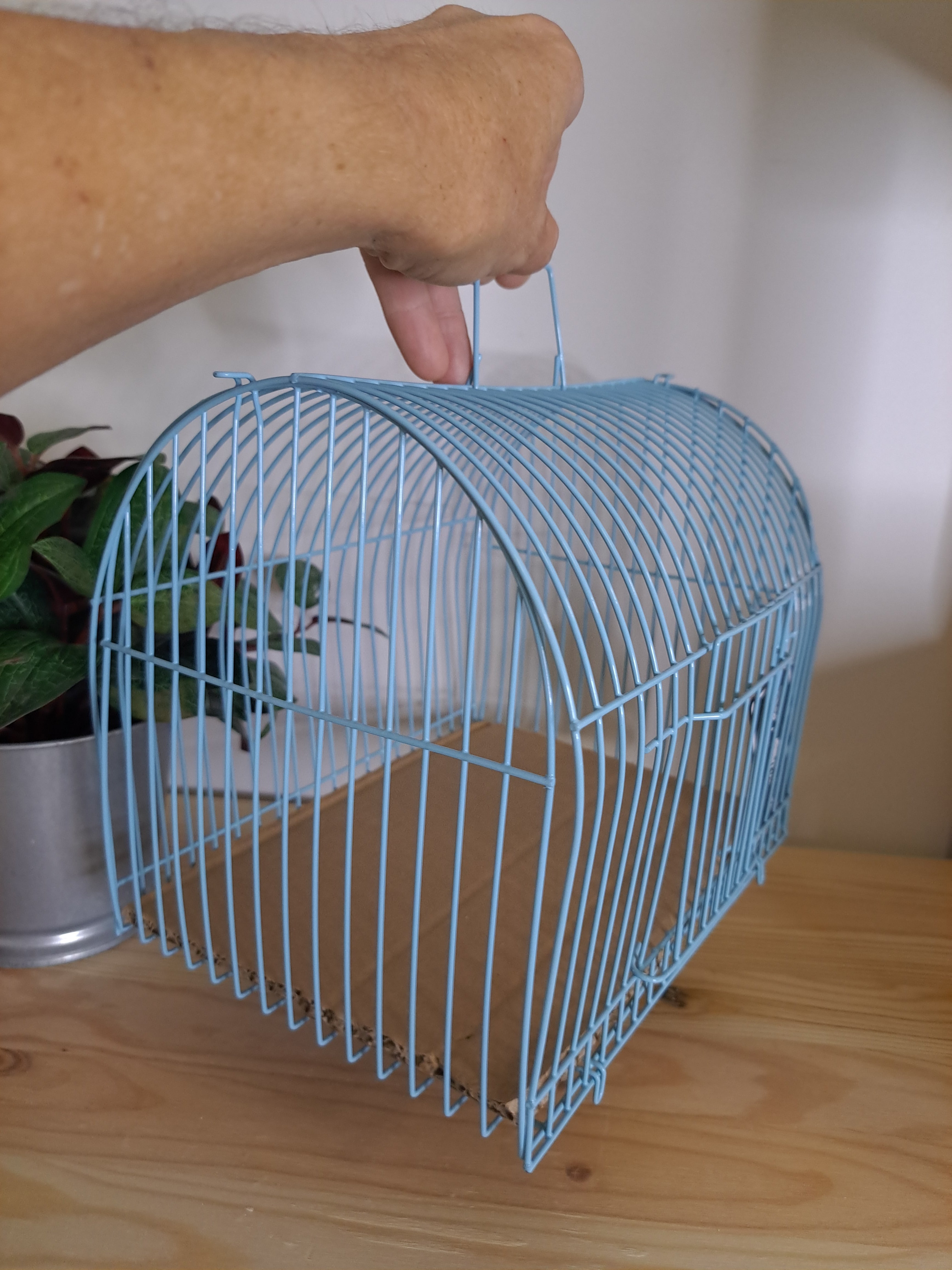 Small bird transport Cage