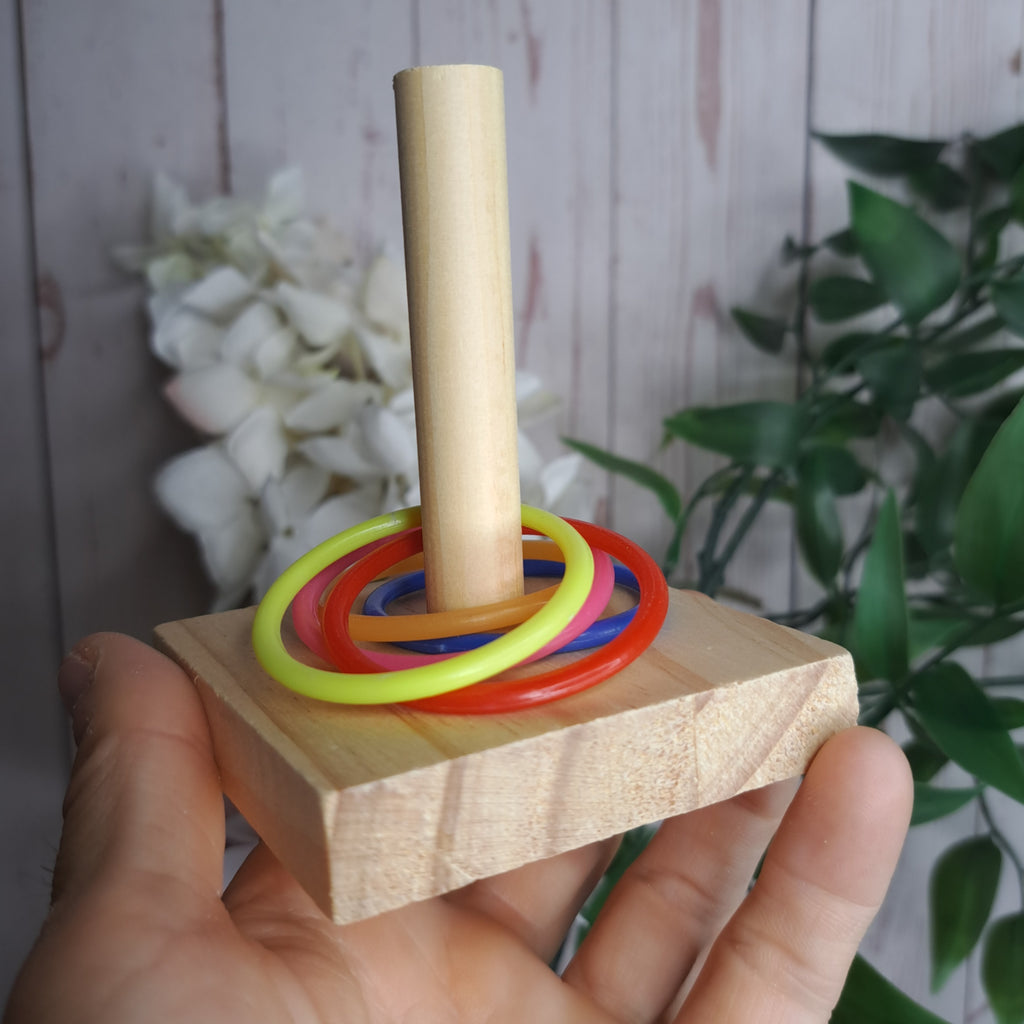 Interactive Wooden Bird Toy