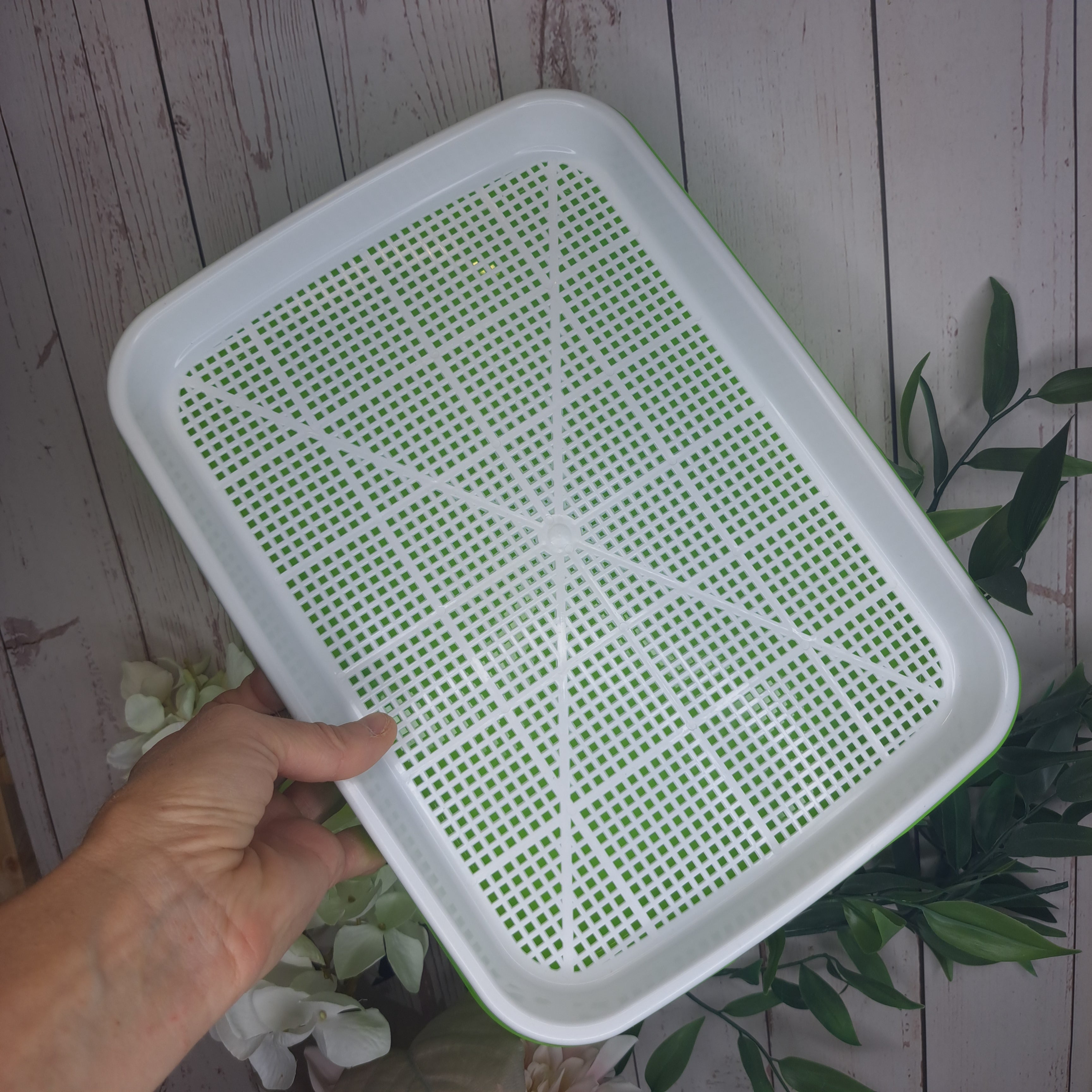 Seed sprouting tray Large