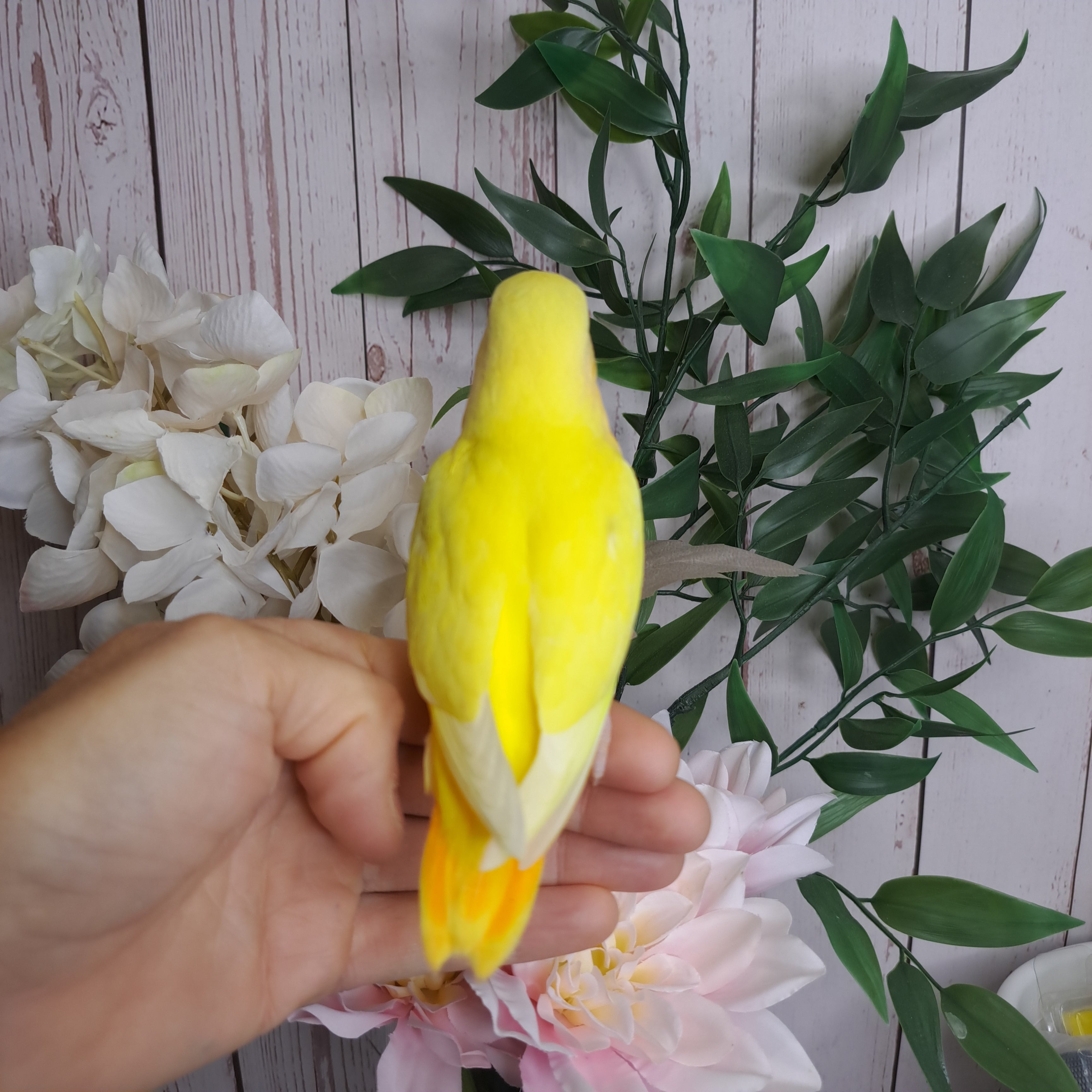 Lovebird- Ring ID: P0472 - Deposit Taken