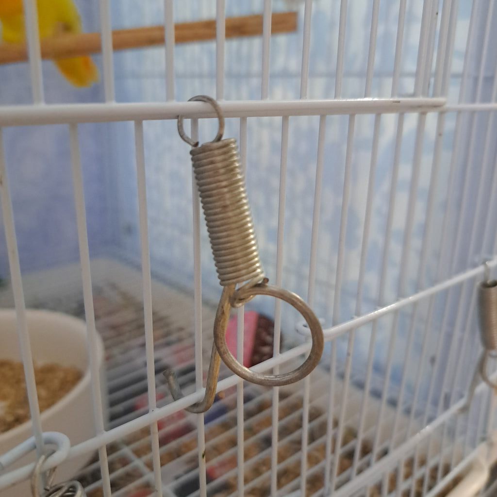 Safety cage door springs hooks 5pcs