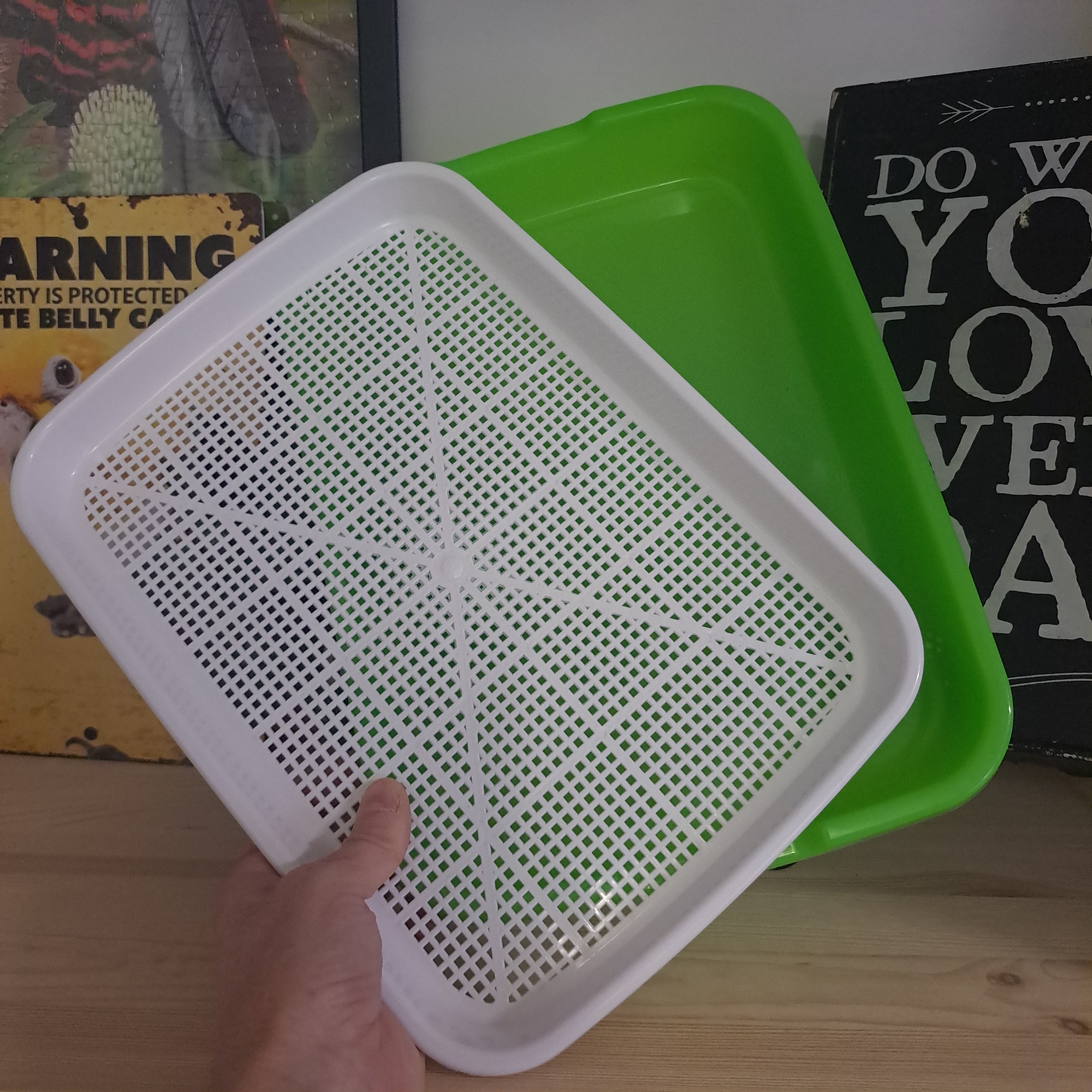 Seed sprouting tray Large