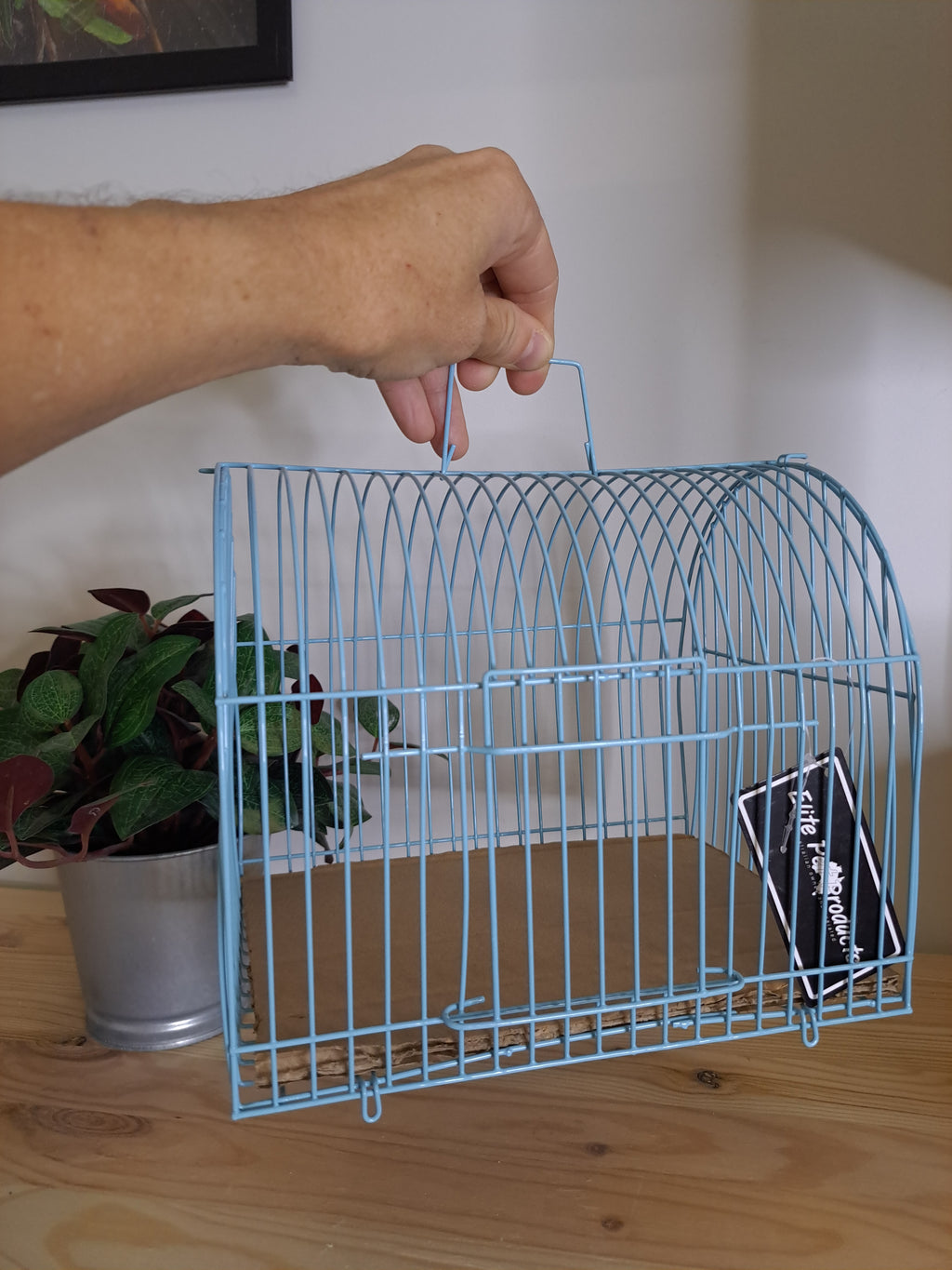 Small bird transport Cage