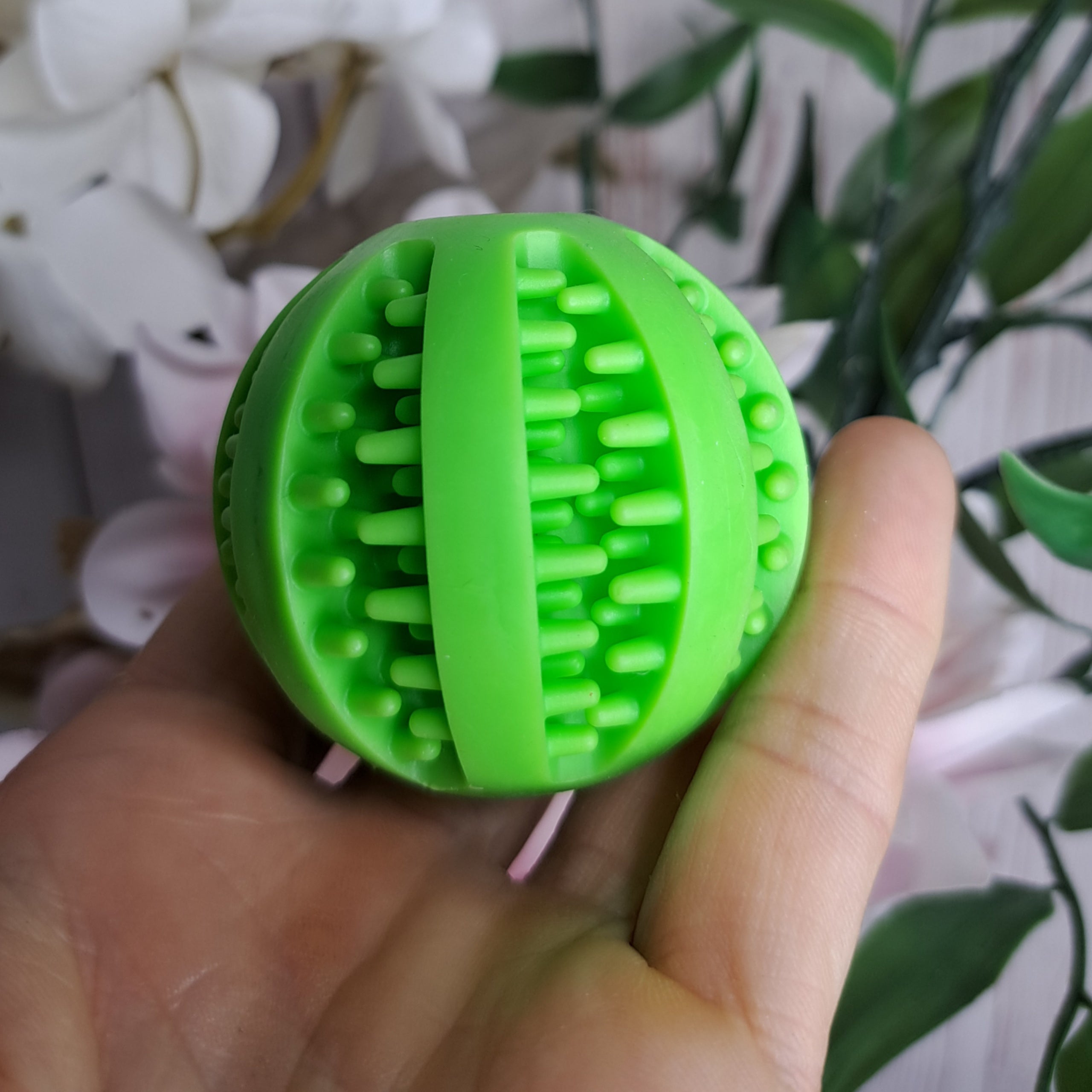 Bird foraging treat ball